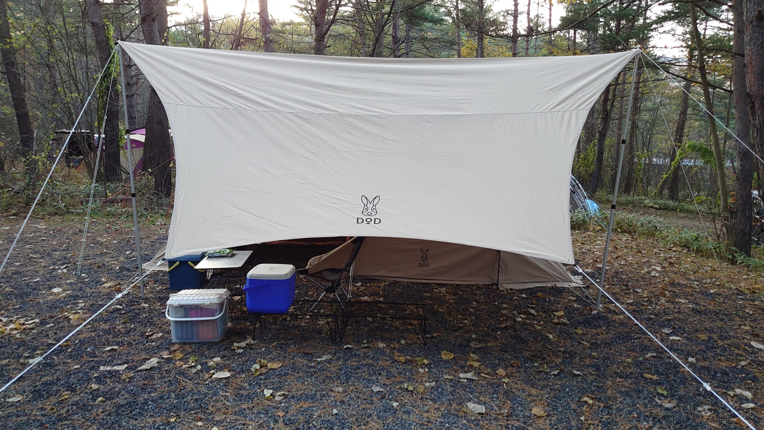 カンパーニャ嬬恋