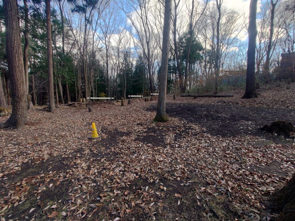 落ち葉のたまる設営場所