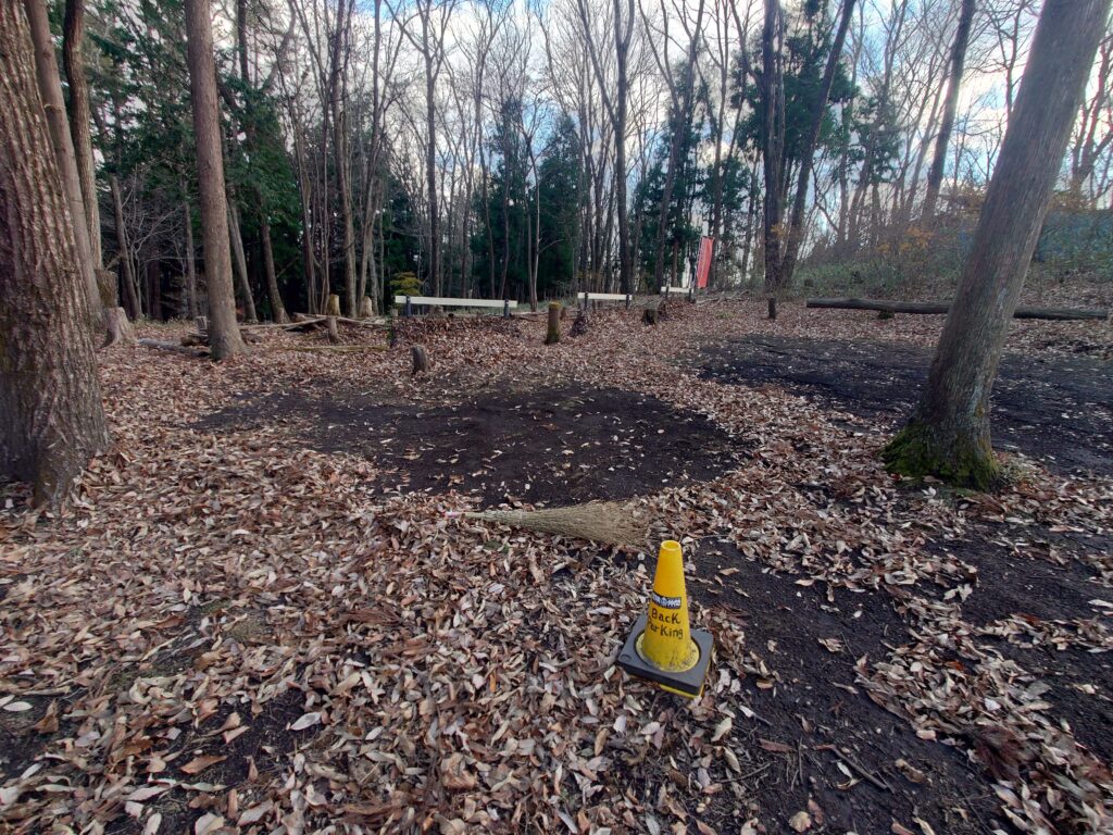 落ち葉を掃いたサイト