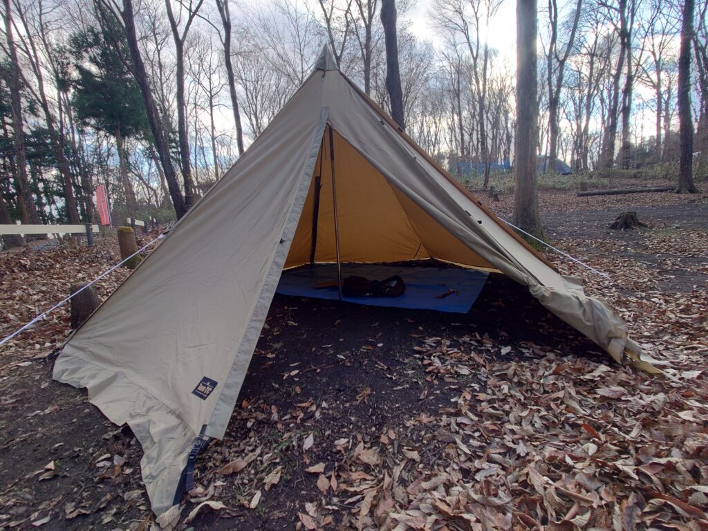 タッソT/C七角形内側