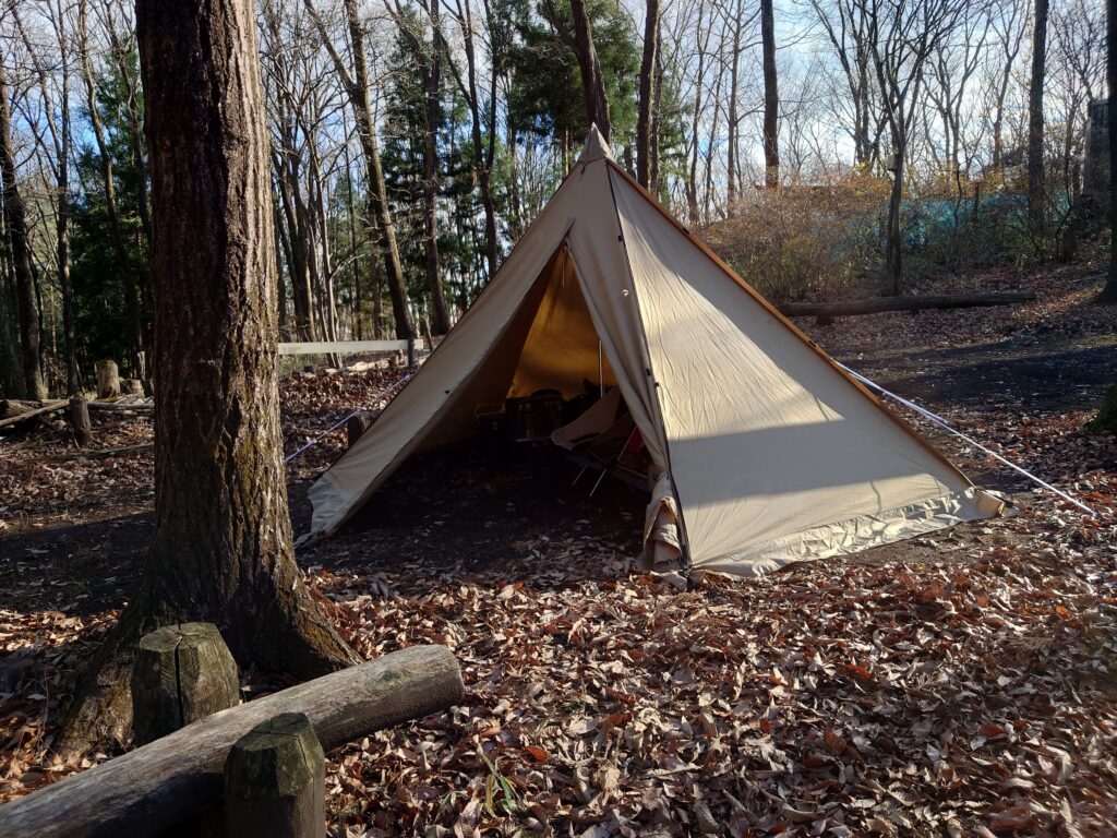 タッソT/C七角形