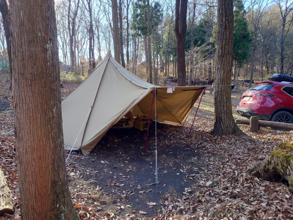 タッソT/C七角形張り出しスタイル