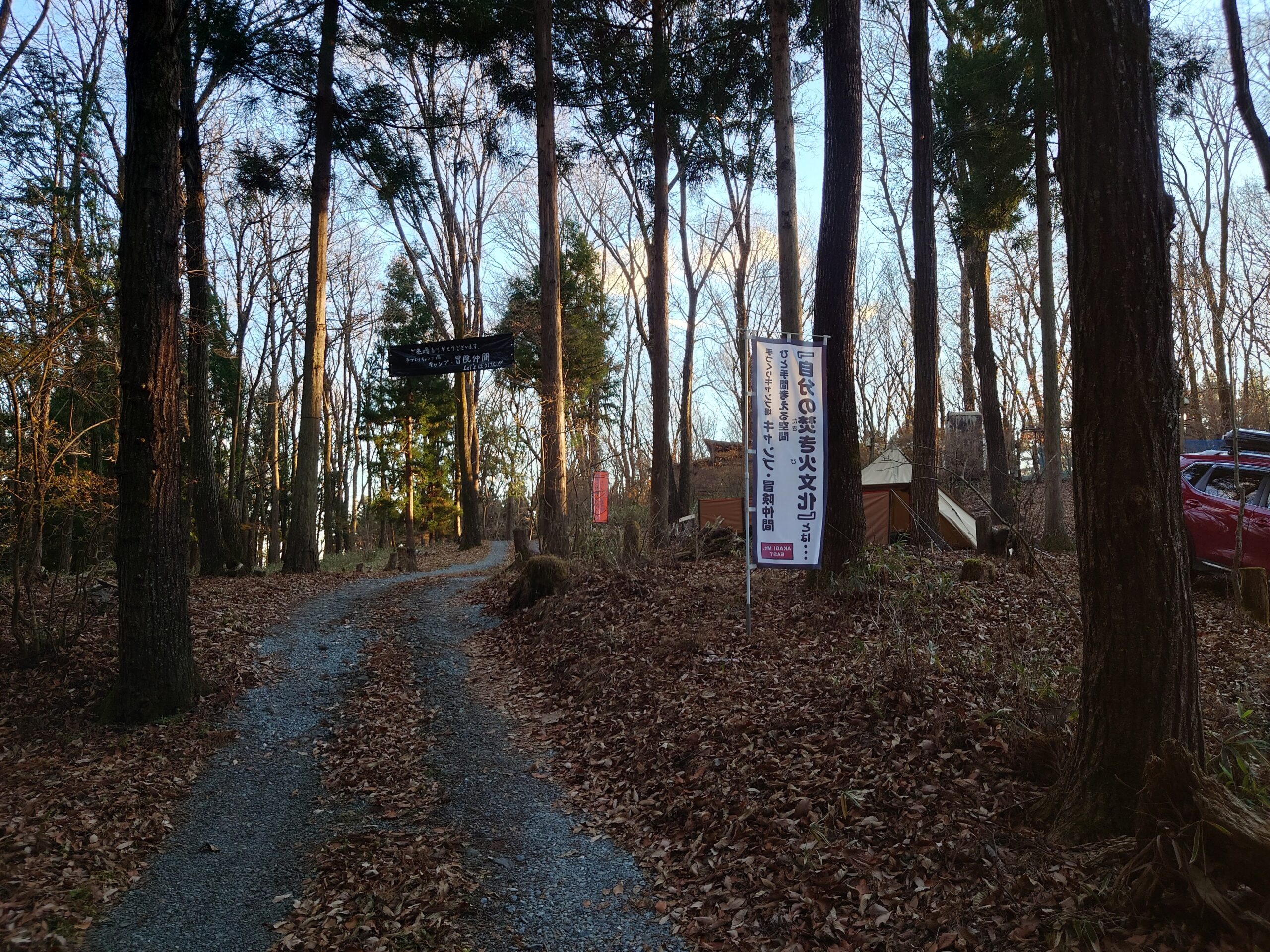 12月のキャンプ冒険仲間