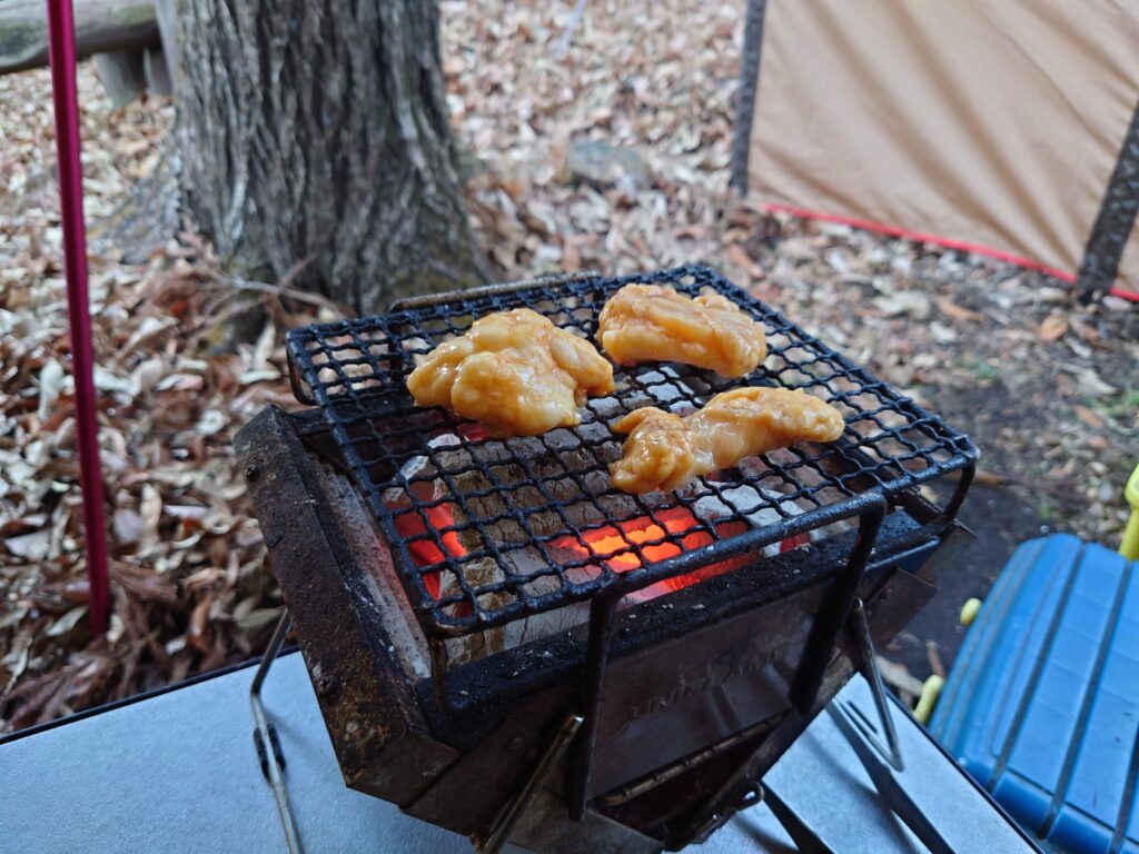 牛ホルモンの炭火焼き