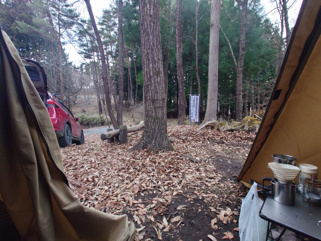 テント内側から見える風景