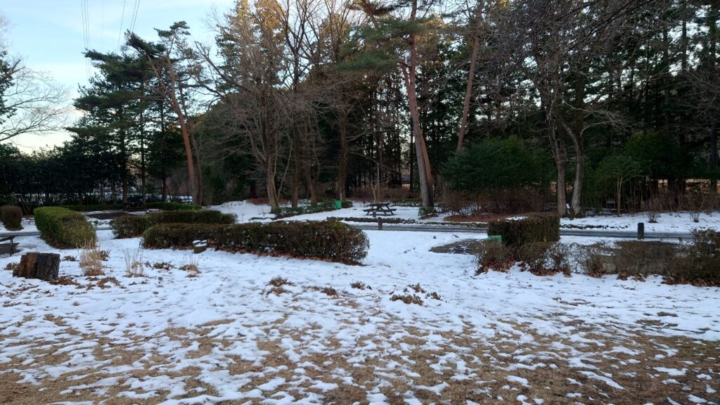 那須野が原公園キャンプ場日陰に残る雪