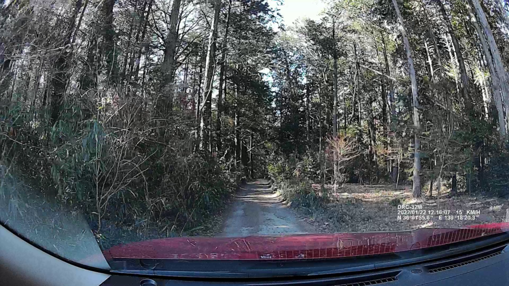 林間フリーサイトへ続く道