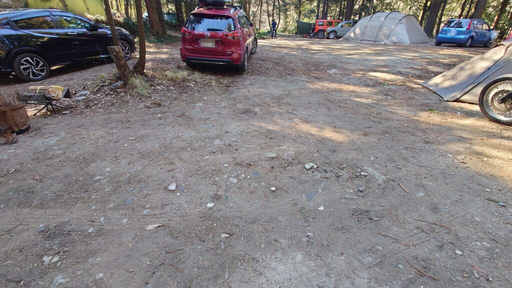 月川荘キャンプ場林間フリーサイト設営場所