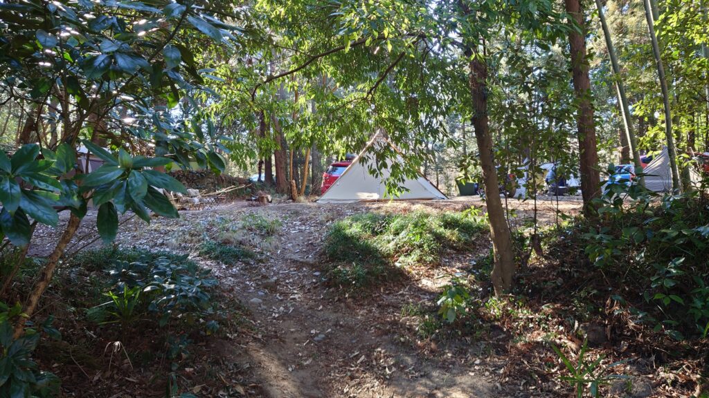 河原から覗いたテントサイト