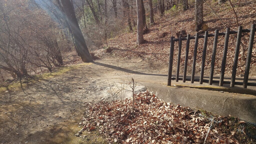 下り坂からフリーサイトへの入り口