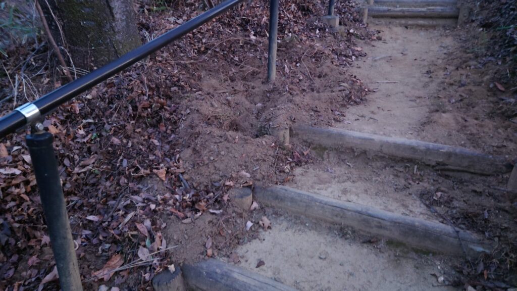 何者かに掘り起こされた公園内の遊歩道