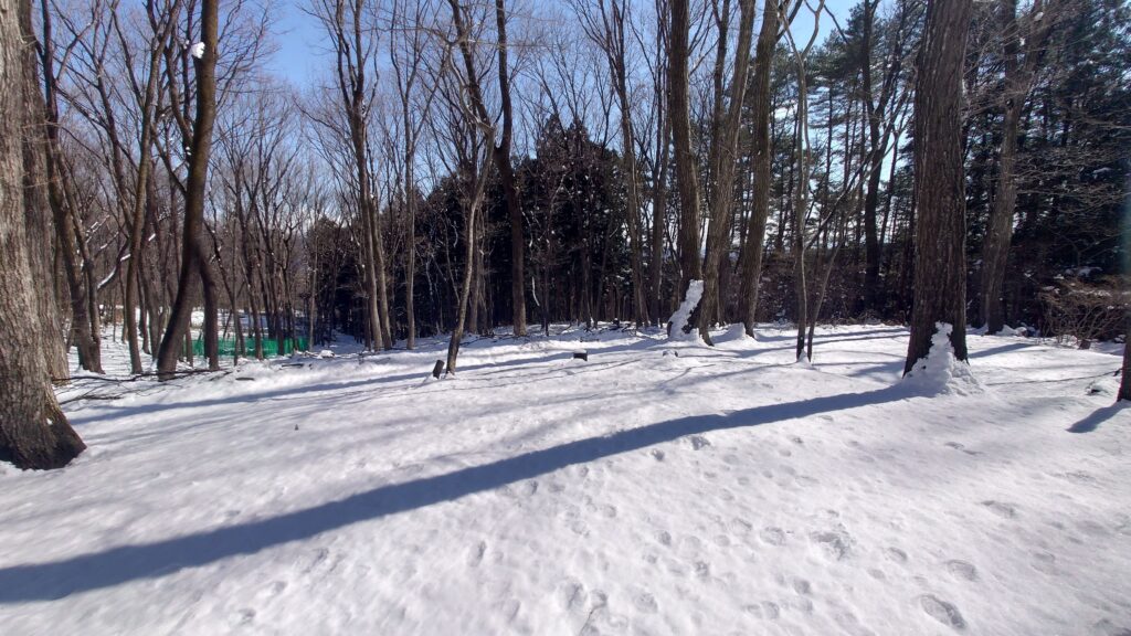 キャンプ冒険仲間新雪に覆われたキャンプサイト