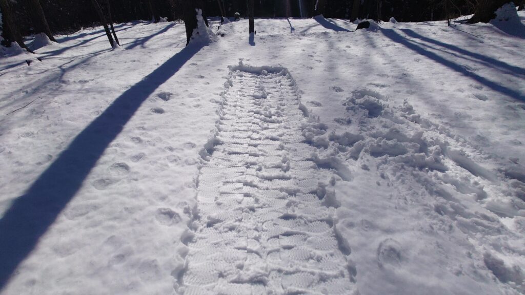 新雪を踏み固める