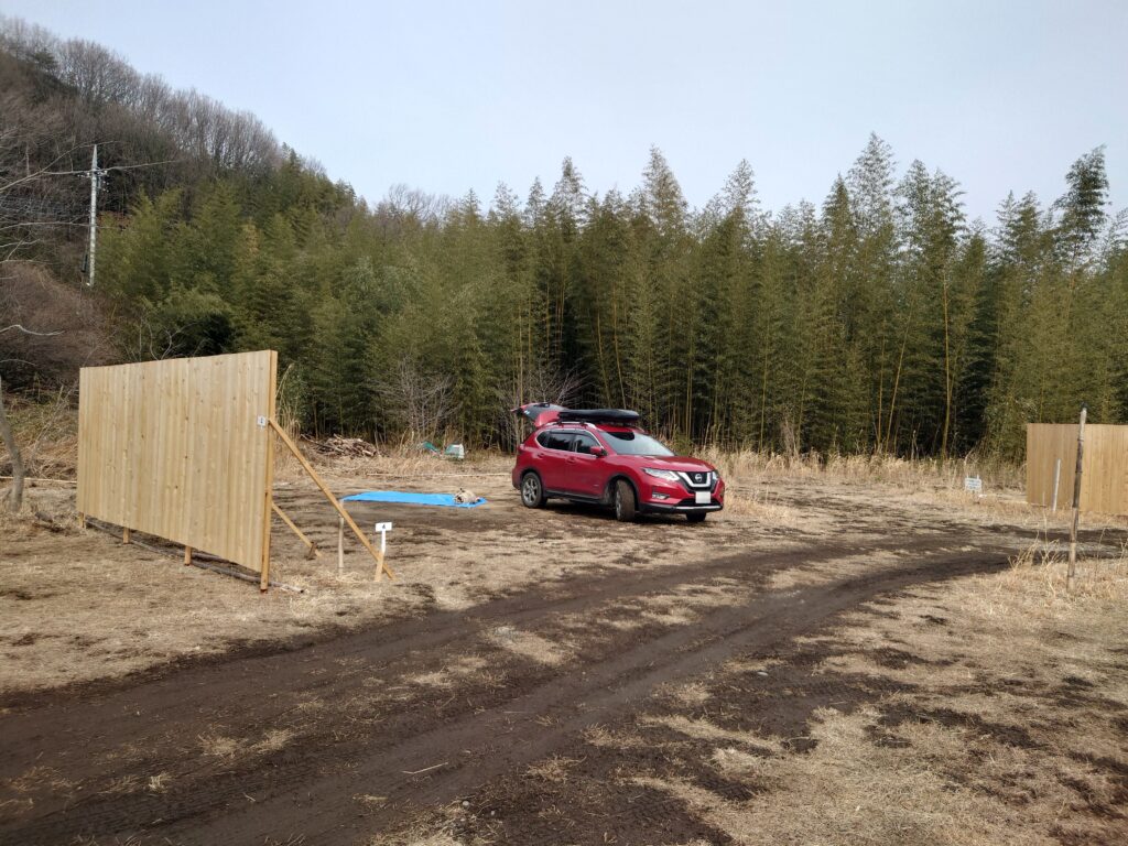 キャンプベース安中榛名の竹林