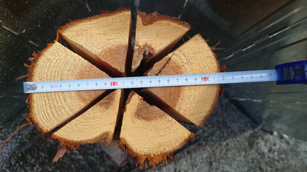 スウェーデントーチ直径