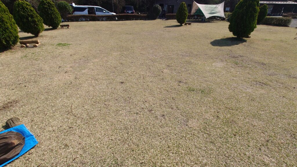 まほろばキャンプ場テントサイトから駐車エリアを臨む