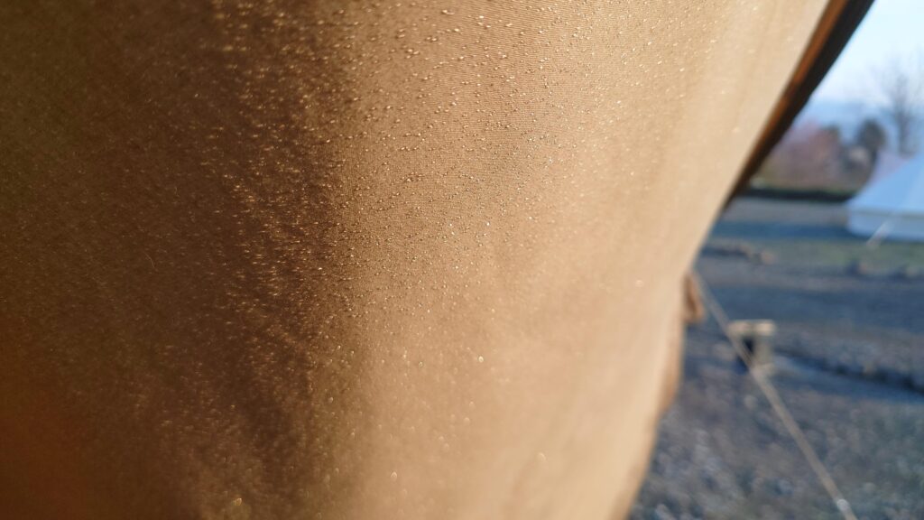 結露したタッソTC