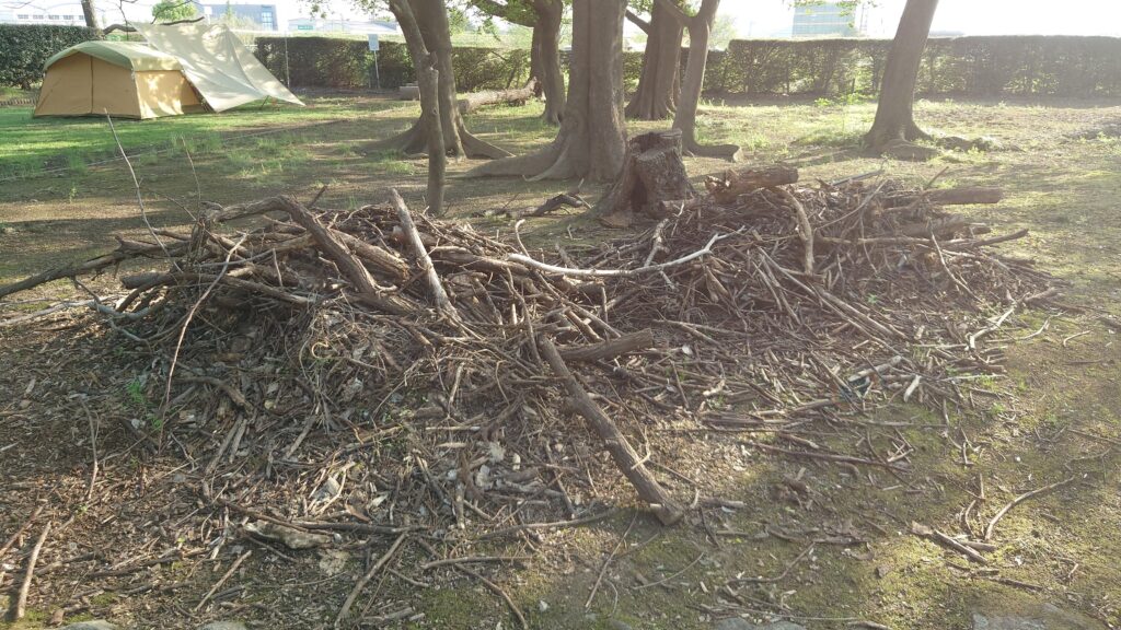 キャンプ場内の流木