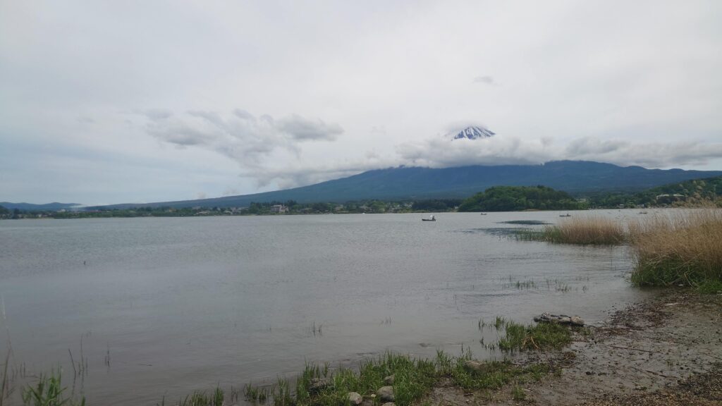 河口湖大石公園から見た富士山