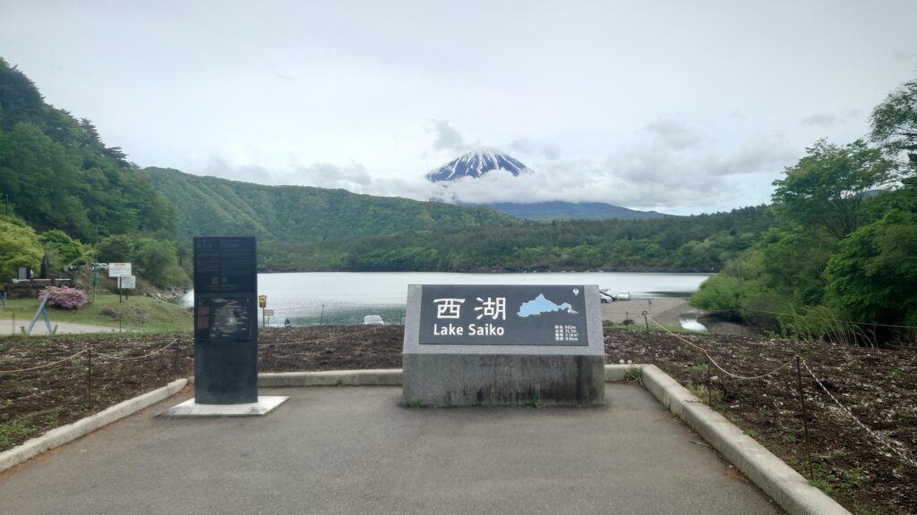 西湖根場浜から臨む富士山その1