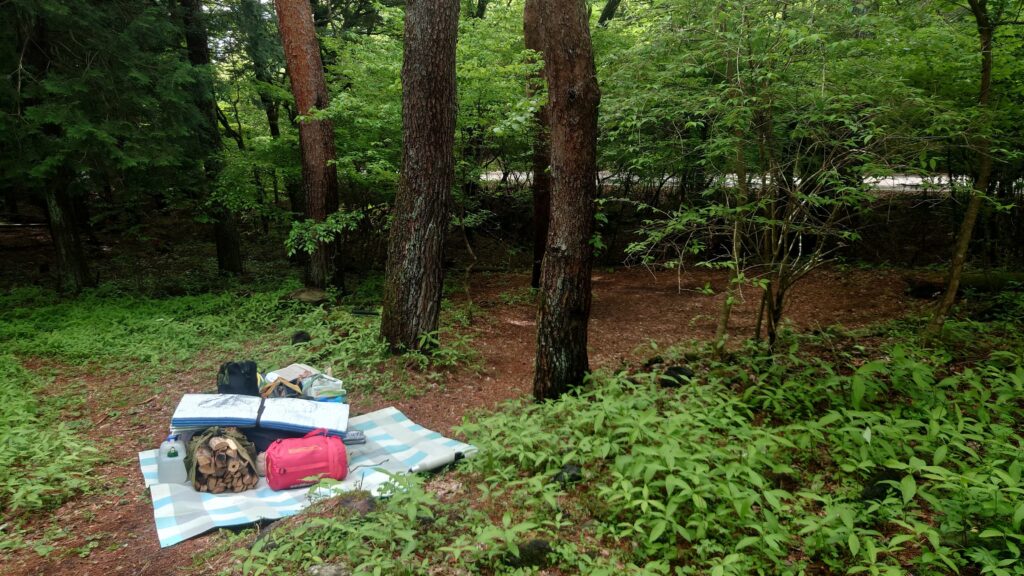 スポーツトレインソロサイトに下ろした荷物