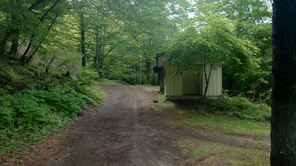 スポーツトレイントイレ周辺