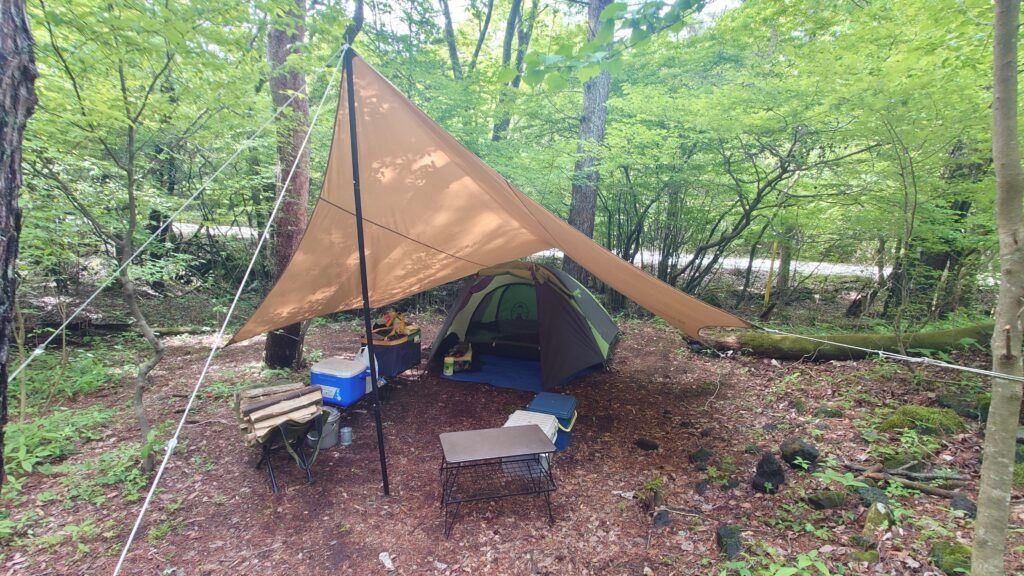 スポーツトレインソロサイト