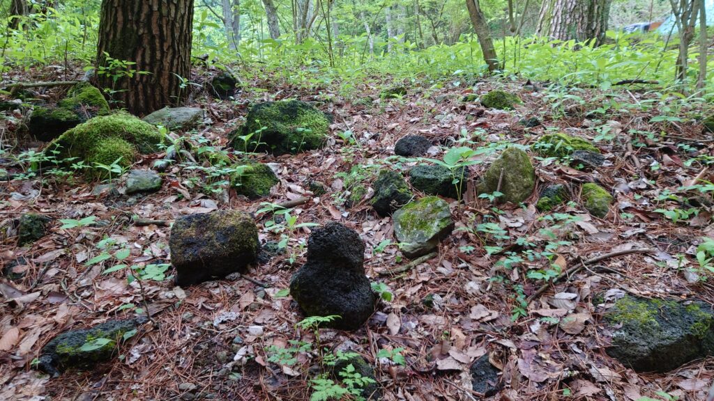 スポーツトレインソロサイト周辺