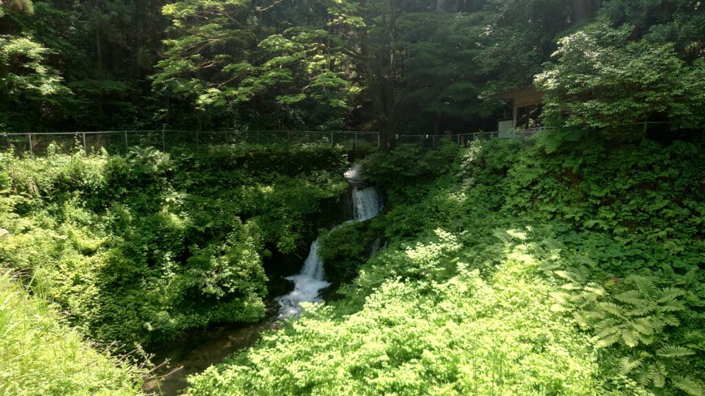 箱島湧水から流れ落ちる水