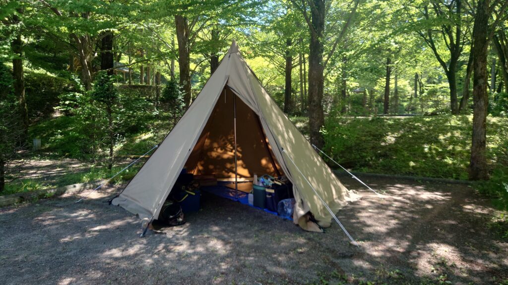 タッソTC六角形スタイル