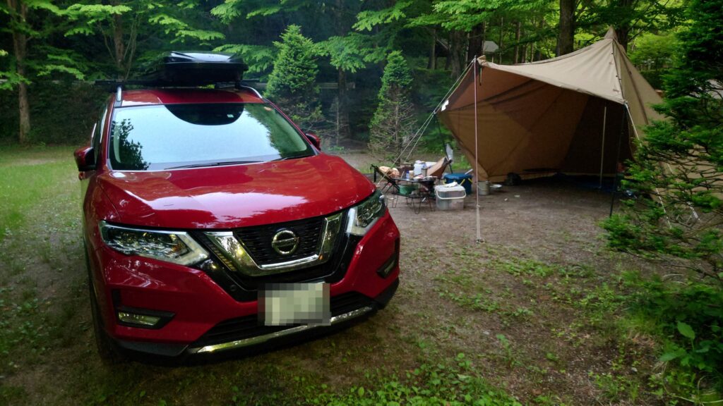 愛車とタッソTC