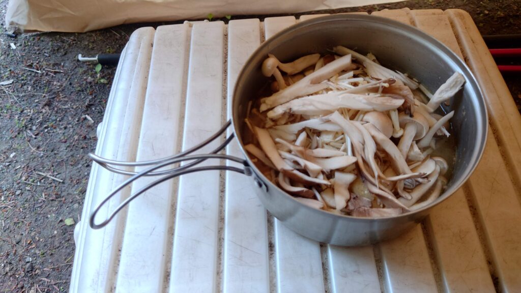 クッカーにキノコ投入