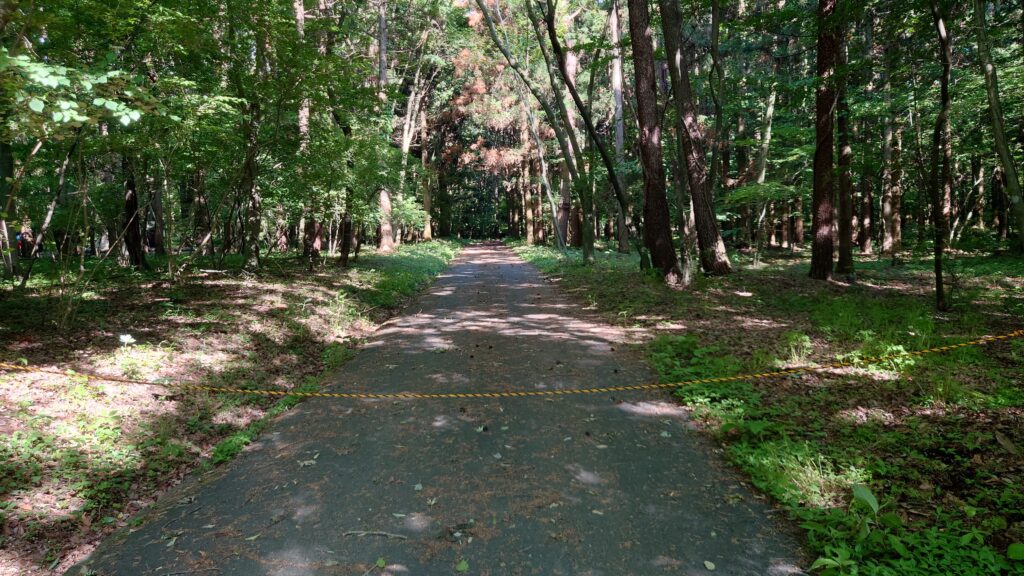 進入禁止エリア