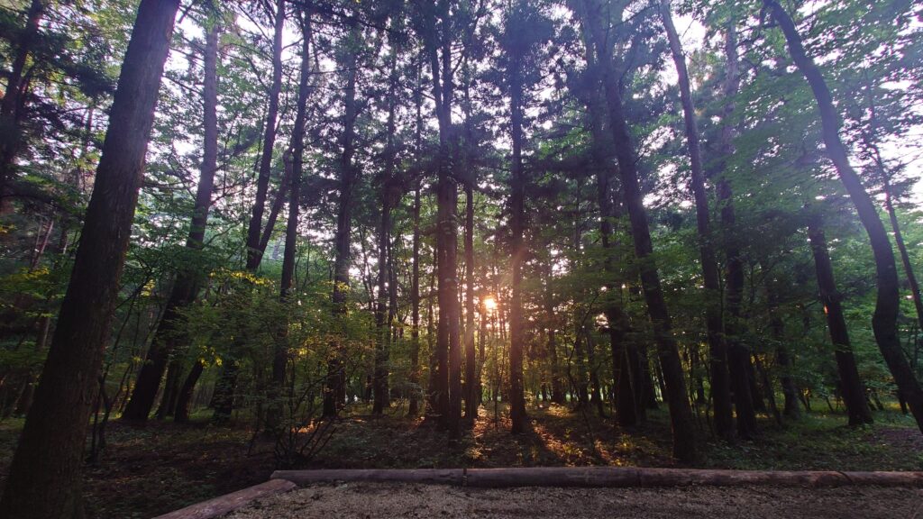 赤城自然園キャンプ場サイトからの夕日