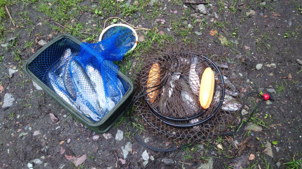 渓流釣りようらく