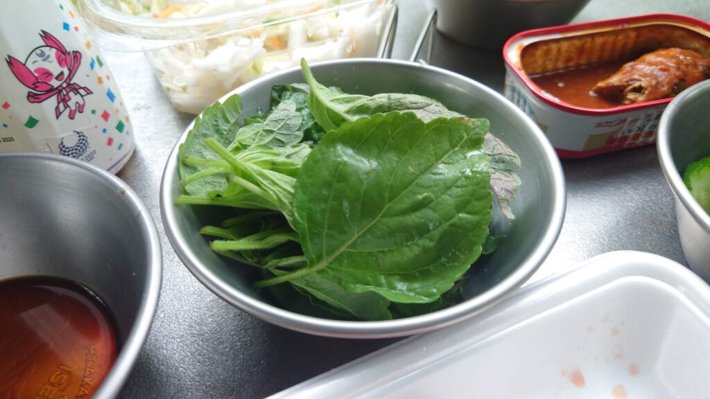 自家製のしその葉