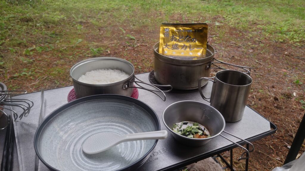朝食の白飯とレトルトカレー