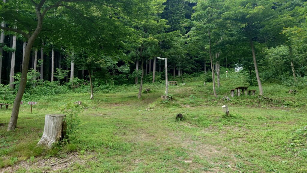 だんだんサイト頂上方面