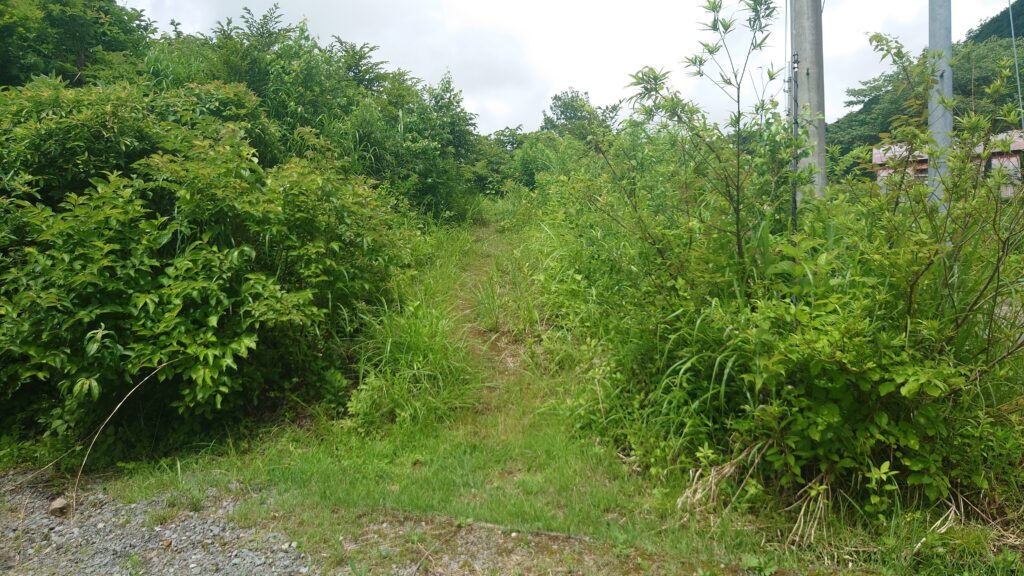 B19サイトへの秘密の入り口