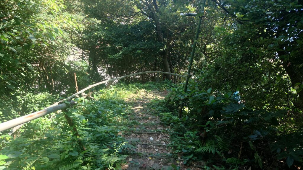 キャンプ場への道