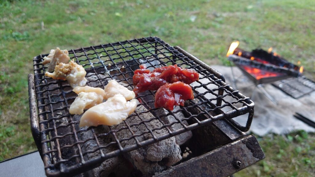 牛ホルモン炭火焼き