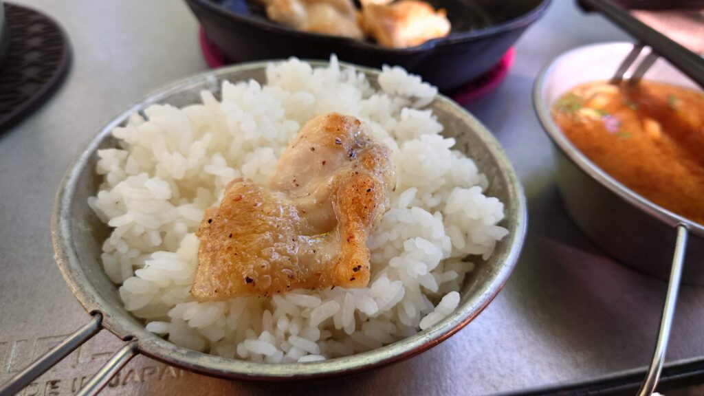 チキンオンザライス