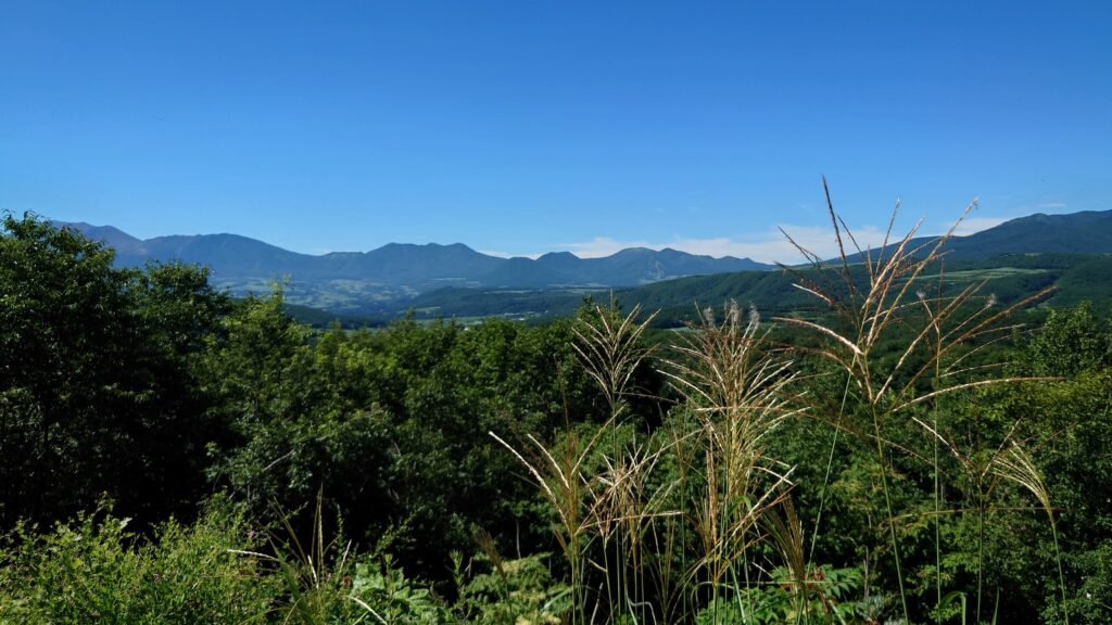 つまごいパノラマライン門貝展望台