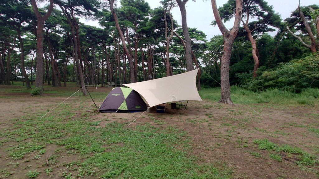 大洗キャンプ場松林