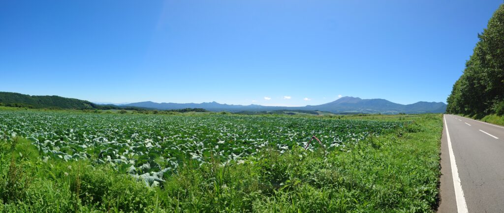 つまごいパノラマライン