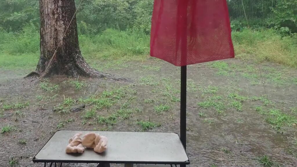 テント正面のテーブルに吹き込む雨
