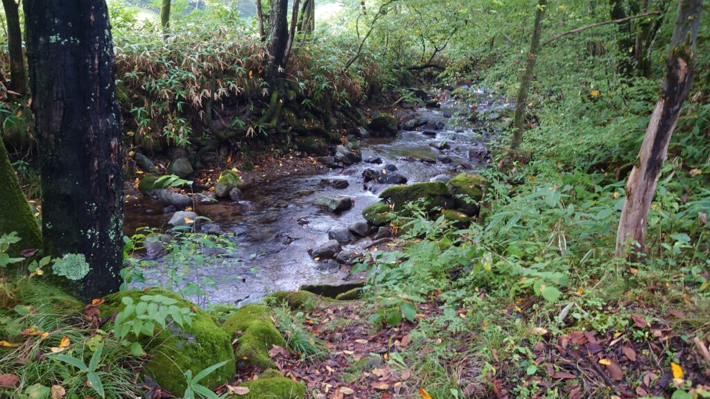 暮坂高原オートキャンプ場を流れる駒ヶ沢川