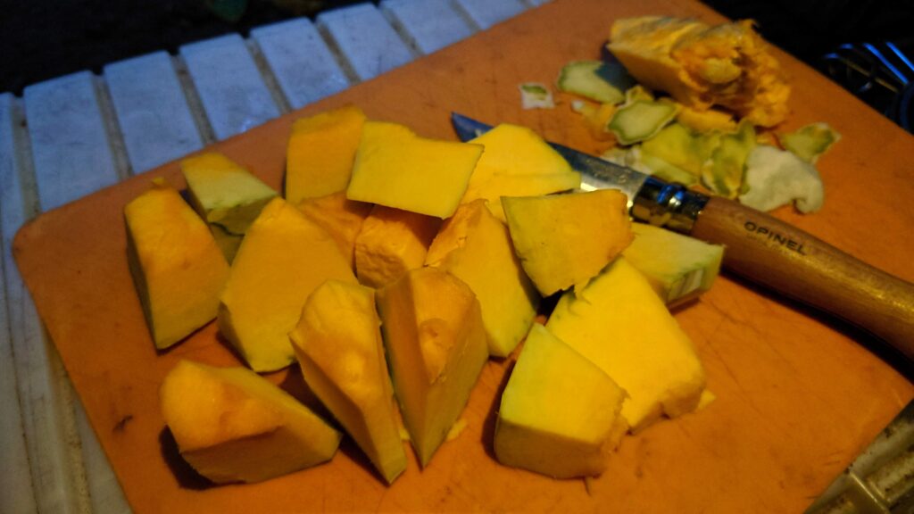 暮坂高原オートキャンプ場でいただいたカボチャ