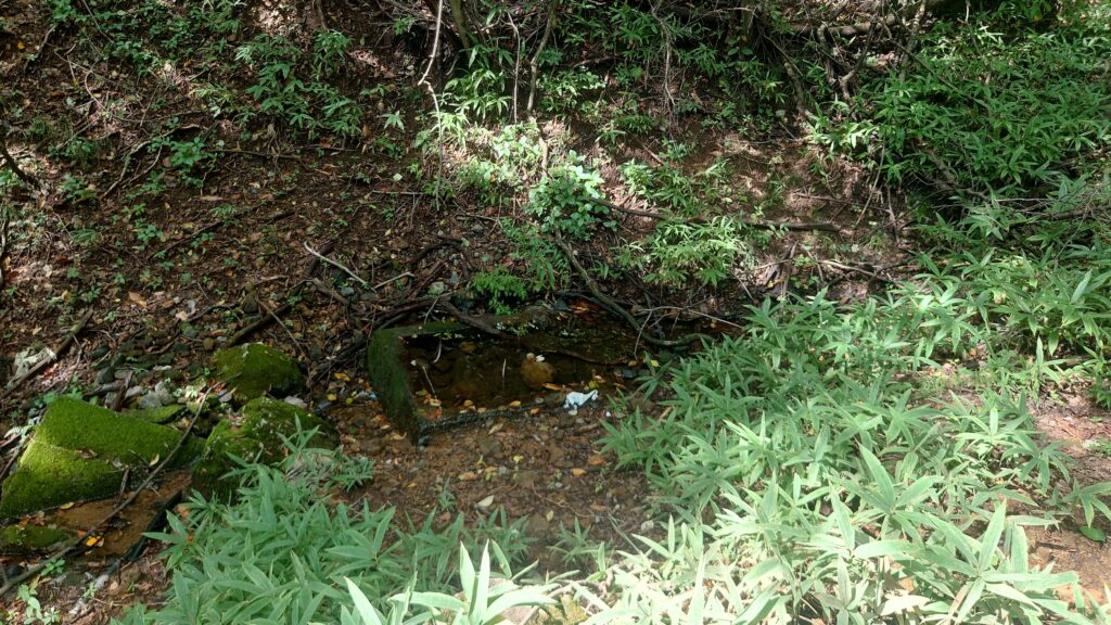星空キャンプ場湧水エリア