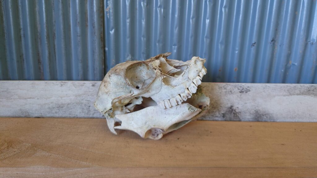 星空キャンプ場小便器場のオブジェ